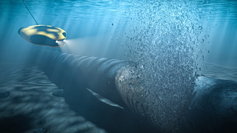 Útok na plynovod Nord Stream mělo provést sedm Ukrajinců. Úřady jejich země to věděly, píší média