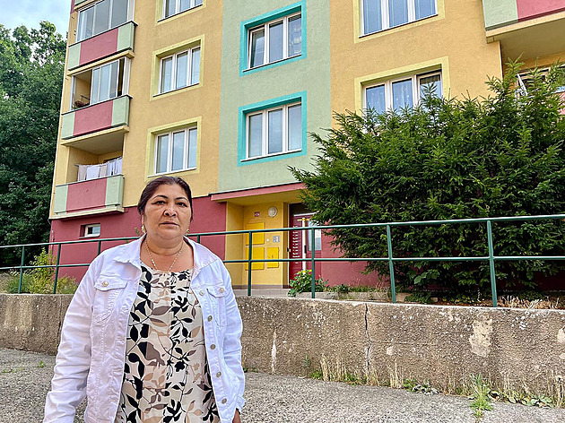 Do díry v kuchyni jsem strčila ruku, říká obyvatelka „ujíždějícího“ paneláku