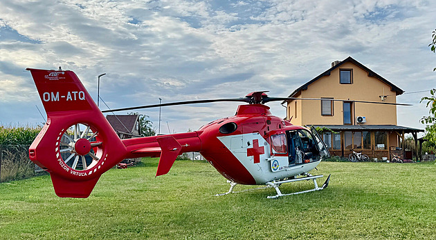 Drama na Opavsku. Muže bodla vosa do krku a přestával dýchat, léky selhaly