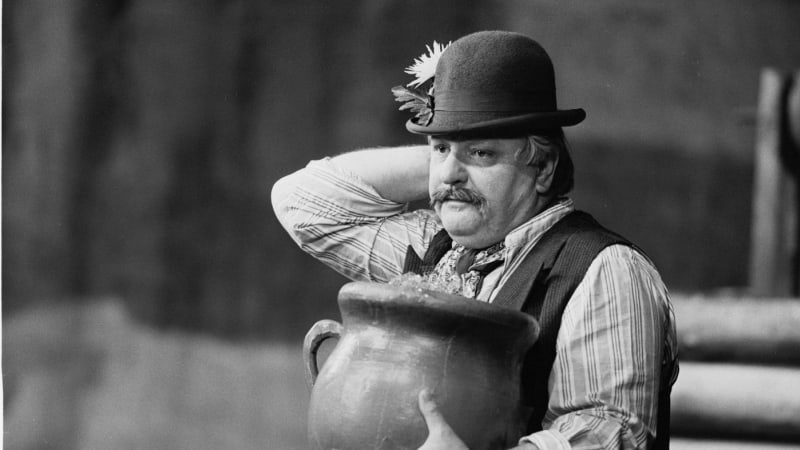 Zemřel Karel Gult. Oblíbený herec si zahrál v Dívce na koštěti nebo Amadeovi