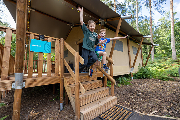 Královský luxus pod hvězdami. Karel III. zve do svého glampingového kempu