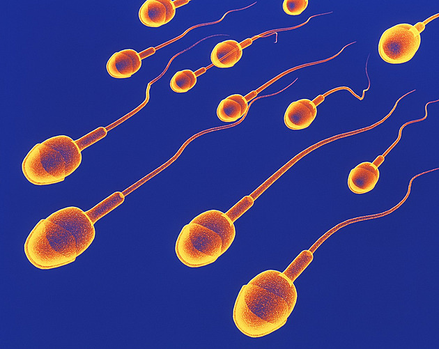 Porodnost je v kraji nízká, osvětová akce může napovědět, proč tomu tak je