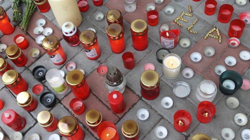 Vražda, která otřásla Českem. Daniel v Teplicích zabil 13letou spolužačku, varování nepomohla