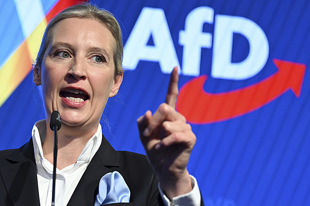 Zakázat, či nezakázat? Němci jsou v otázce přístupu k AfD rozděleni přesně napůl