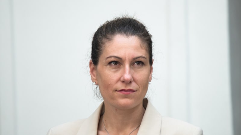 Jsi odporná, nejen fyzicky, nadával politik Decroix. Byl to exces a „hrubá záplata“, přiznává