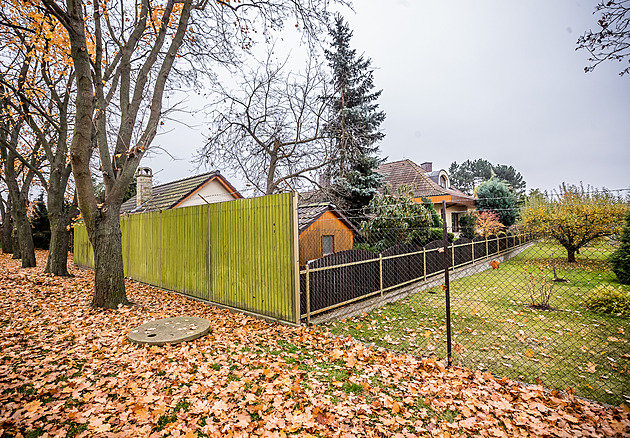 Nekonečná pře o úklid listí z městských stromů. Manželé za něj chtějí 140 tisíc ročně