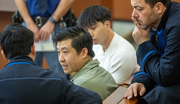 Pokus o vraždu mezi Vietnamci, za napadení manželů sekáčkem dostal muž 18 let