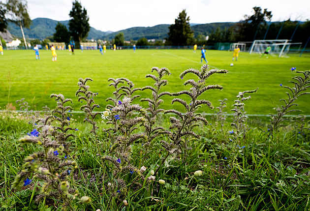 Nedohráno. Zápas nižší soutěže rozhodčí přerušil kvůli bitce diváků