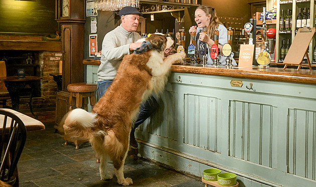 Britové vyhlásili nejlepší „psí“ hospodu. Za pivo s mazlíčkem si rádi připlatí