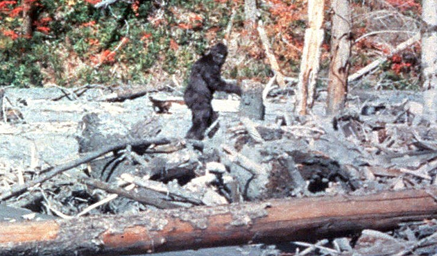 V lesích natočili obřího prsatého lidoopa. Záhadný film dráždí Ameriku dodnes