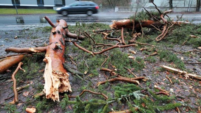 VÝSTRAHA: Českem se žene vichřice. Na řadě míst láme stromy, pozor na jízdu v autech