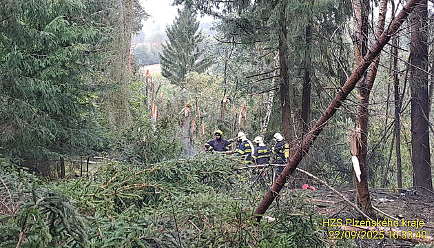 Ve zříceném letadle na Plzeňsku v pondělí zahynul majitel karlovarského hotelu