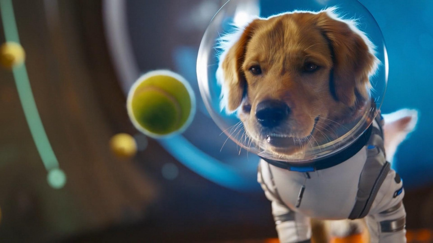 OpenAI spouští vlastní sociální síť! Díky AI Sora 2 dokáže generovat neskutečně realistická videa