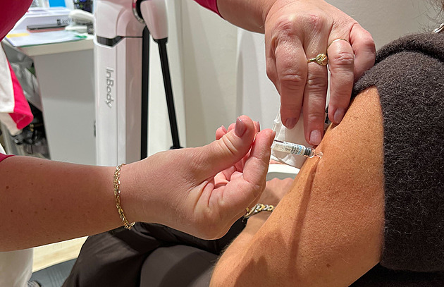 Očkování při nákupech uspělo, lékárny měly plno. Někteří praktici však protestují