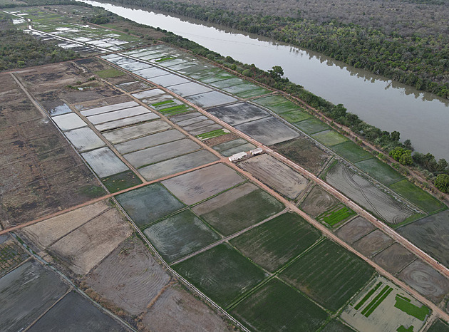 Afrika jako potravinová velmoc. Investice na kontinent tečou z Číny i Kataru