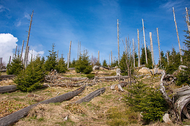 Bavorská obec dostala od mladých vulgární označení. Nestydaté, míní místní