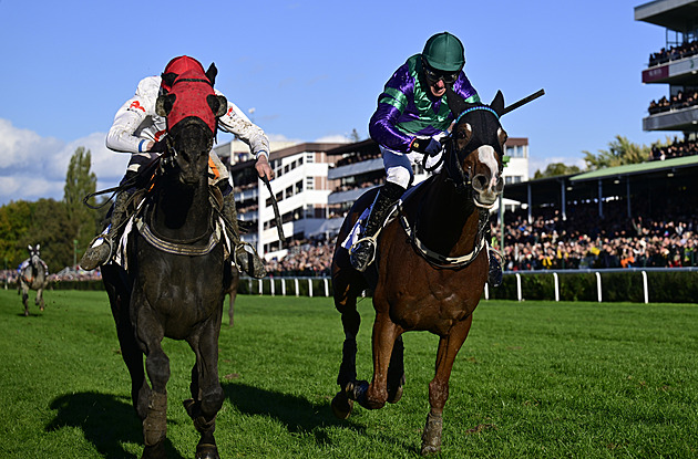 Velká pardubická ONLINE: Taxisův příkop nezvládli dva koně, v čele se drží Sexy Lord