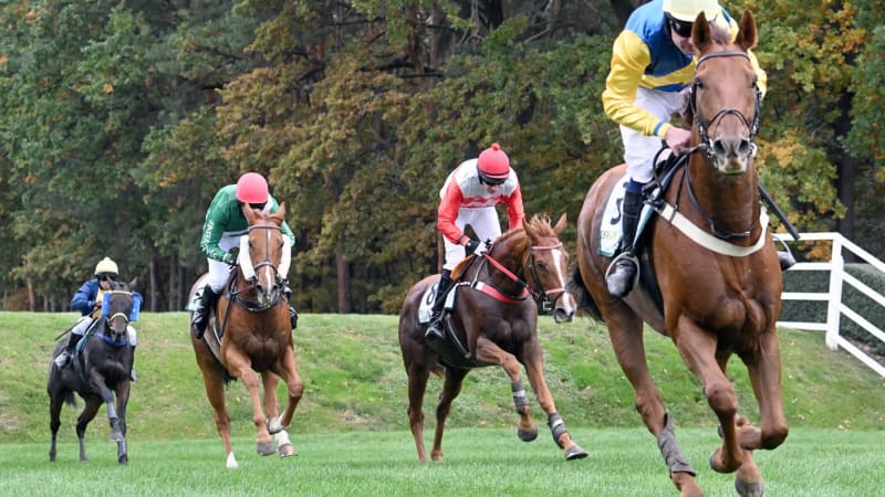 Velkou pardubickou vyhrál po 30 letech zahraniční kůň. Loňský vítěz skončil před cílem