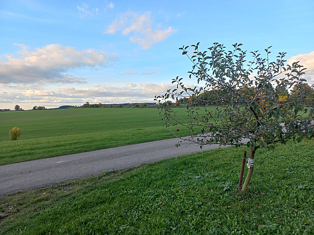 Větrníky vytočí obci na Orlickoústecku miliony, lidem v okolí nic