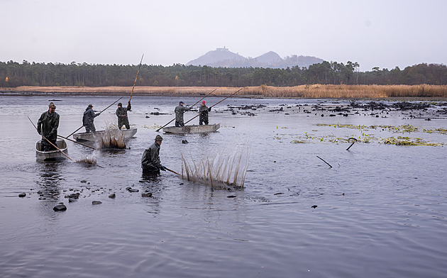 OBRAZEM: Výlov v dešti a navíc rašelina. Příroda s námi nehraje, říkají rybáři