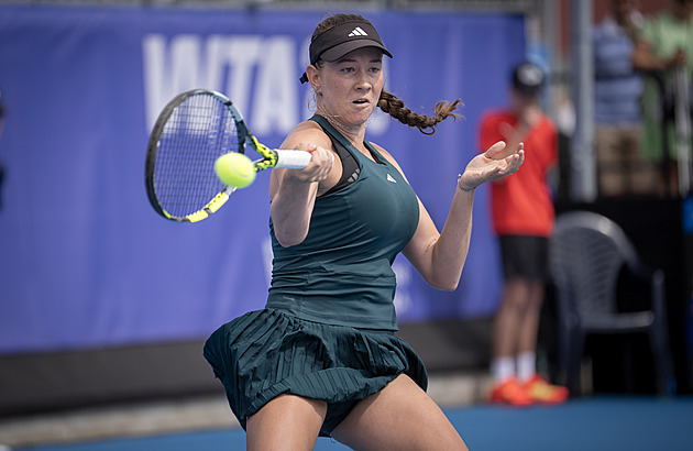 Šalková na první velké finále nedosáhla. Sinner zničil Zvereva, může být zase číslo 1