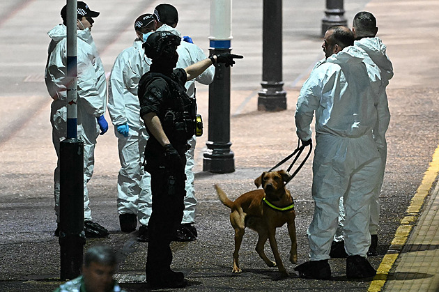 Útok ve vlaku měli za halloweenský žert, důchodce před nožem zachránil dívku