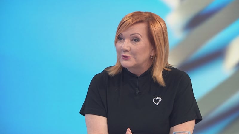 Schillerová bez obalu: Ke třem procentům HDP na obranu se nezavážeme