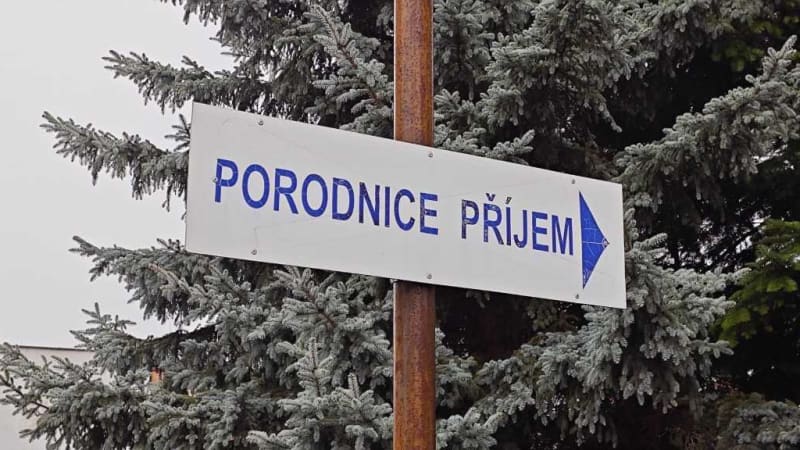 Smrt dětí v litoměřické porodnici? Zarážející věc, míní ombudsman Rath. Odhadl výši odškodného