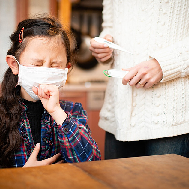 Chřipková epidemie propukla naplno, školy jsou před Vánoci poloprázdné