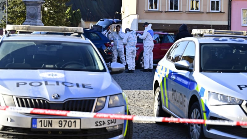 Střelba v Chřibské: Vyšetřování na úřadě skončilo. Ženu mohla zasáhnout přes dveře policie