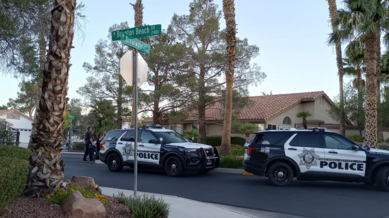 Školačka byla 6 let nezvěstná, našli ji s novým jménem na druhém konci USA. Zázrak, říká šerif