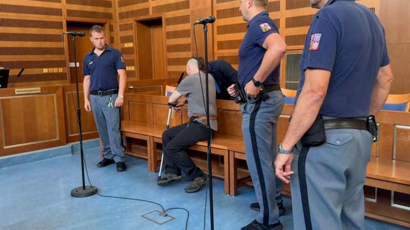 Muž z Vrchlabí umlátil v garáži družku, tvrdí obžaloba. Trest mu hrozí i za zneužití školačky