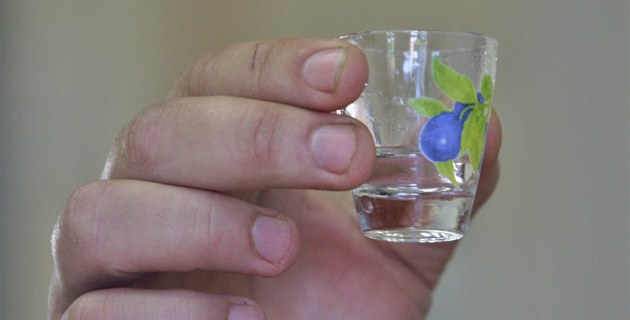 Mrazíky a sucho uškodily úrodě ovoce, pálenice předpokládají slabou sezonu