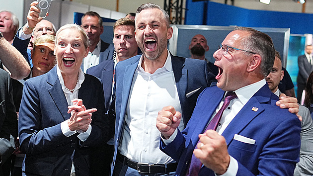 Vítězství AfD může dál otřást vládou, míní expert. Řekl, co k výsledku přispělo