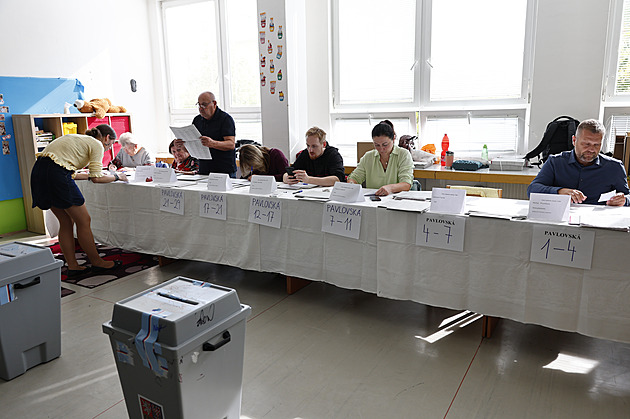 Volby 2026: kde sledovat výsledky komunálních a senátních voleb ONLINE