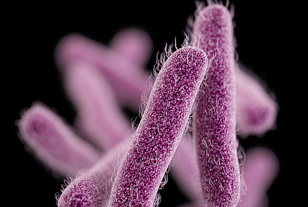 Pohlavně přenosné průjmové onemocnění nabývá na síle, antibiotika selhávají